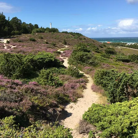 Hostel Casablanca Hostel, Hyggelig *