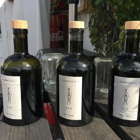 Vandrerhjem Casablanca Hostel, Hyggelig Anholt